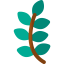 Branch 图标 64x64