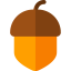 Nut 图标 64x64