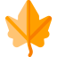 Maple leaf 图标 64x64