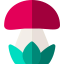 Mushroom 图标 64x64