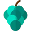 Grapes 图标 64x64