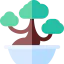 Bonsai icon 64x64