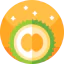 Durian icon 64x64