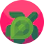 Turtle icon 64x64
