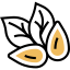 Almond ícono 64x64