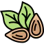 Almond ícono 64x64