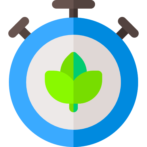 Timer icon