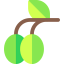 Оливки иконка 64x64