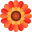 Wild flower icon 64x64