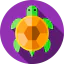 Tortoise icon 64x64