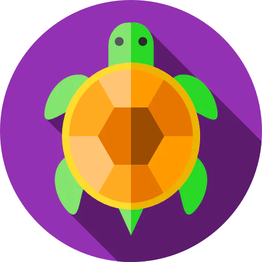 Tortoise icon