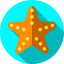Starfish icon 64x64