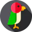Parrot icon 64x64