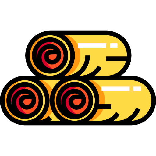 Spring rolls icon