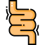 Intestines icon 64x64