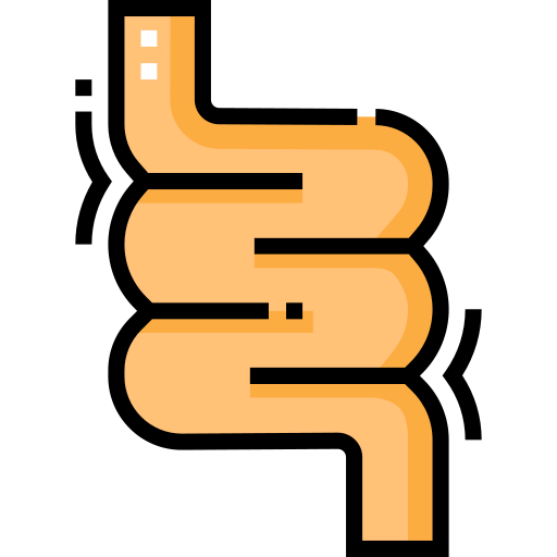 Intestines icon