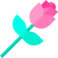 Rose icon 64x64