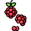 Raspberry ícone 64x64