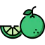 Lime ícone 64x64