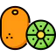 Kiwi icône 64x64