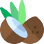 Coconut icon 64x64