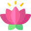 Lotus icon 64x64