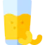 Juice icon 64x64