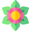 Flower icon 64x64
