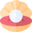Pearl icon 64x64
