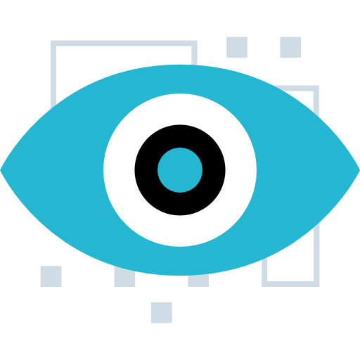 Vision icon