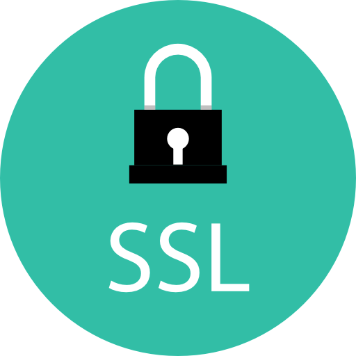 Ssl icon