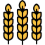 Wheat icon 64x64