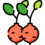 Radish アイコン 64x64