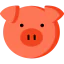 Pig icon 64x64
