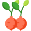 Radish アイコン 64x64