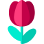 Flower アイコン 64x64