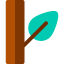 Leaf アイコン 64x64