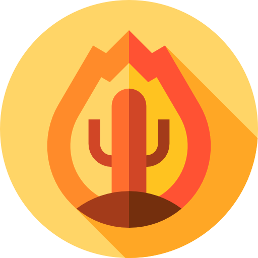 Fire icon