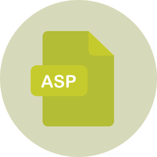 Asp 图标
