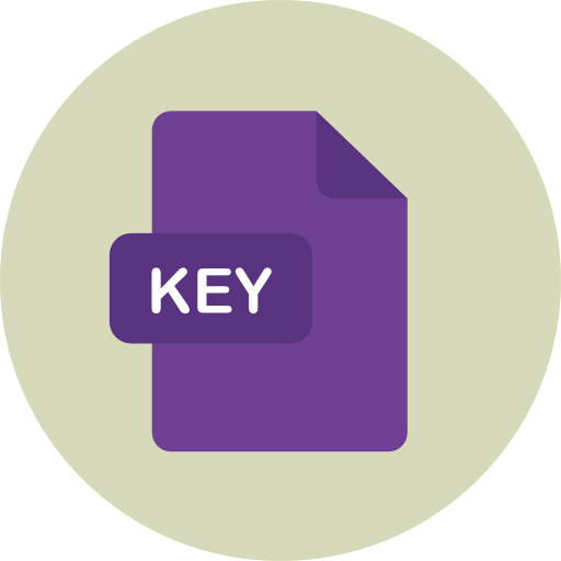 Key icon