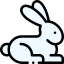 Rabbit icon 64x64