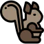 Squirrel icon 64x64