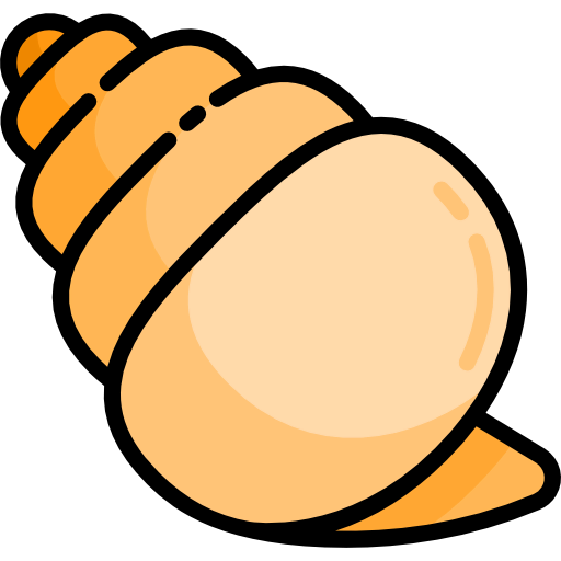Conch shell 图标