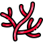 Coral icon 64x64