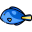 Surgeon fish icon 64x64
