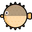 Blowfish icon 64x64