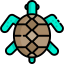 Turtle icon 64x64