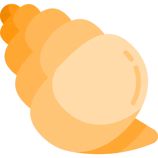 Conch shell 图标
