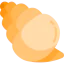 Conch shell ícone 64x64