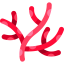 Coral ícone 64x64